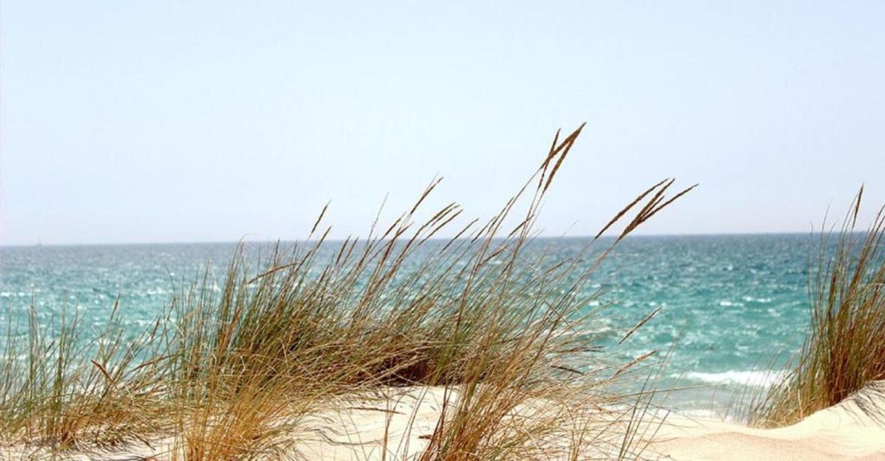 Mhvacances Louent Plusieurs Mobilhomes Dans Camping 4 Etoiles A 200M De La Plage Et Cure Thermale Canet-en-Roussillon Eksteriør bilde