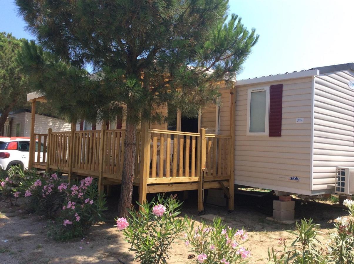 Mhvacances Louent Plusieurs Mobilhomes Dans Camping 4 Etoiles A 200M De La Plage Et Cure Thermale Canet-en-Roussillon Eksteriør bilde